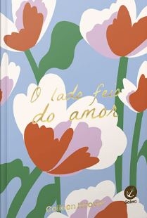 O lado feio do amor 