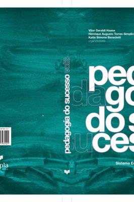 Pedagogia do sucesso : educação, sistema educacional e política