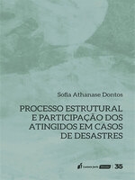 Processo estrutural e participação dos atingidos em casos de desastres