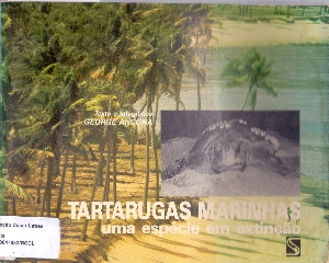 Tartarugas marinhas : uma especie em extinção